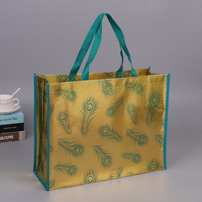 Fashionable ISO9001 Pantone Color Non Woven Fabric Carry Bags