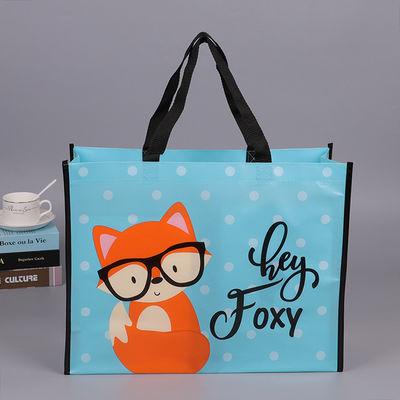 ISO9001 PP Non Woven Bag
