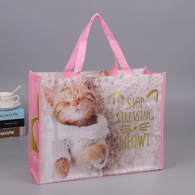 Colorful Handled Non Woven Fabric Carry Bags For Picnic