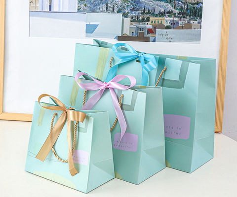 100gsm Pantone Color Die Cut Paper Carrier Bags
