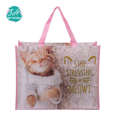 Colorful Handled Non Woven Fabric Carry Bags For Picnic