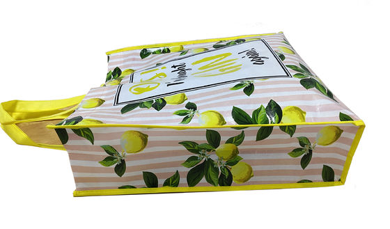 Handled Flower And Animal printed PP Non Woven Bag , Non Woven Gift Bags