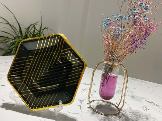 Biodegradable 300gsm Dinner Use Disposable Paper Plate