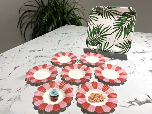 13.5cm Disposable Paper Plate