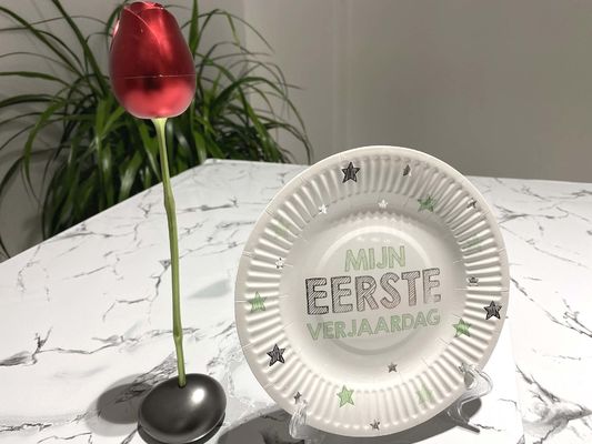 10inch Pantone color Holiday Paper Plates , Biodegradable Disposable Plates