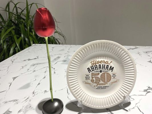10inch Pantone color Holiday Paper Plates , Biodegradable Disposable Plates