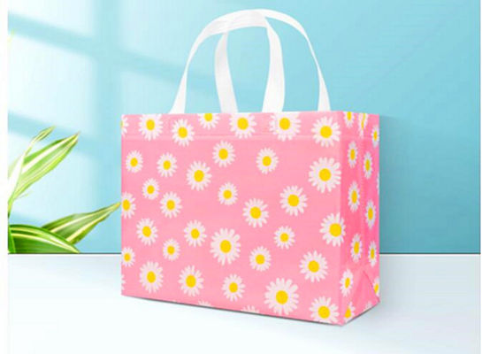 Pantone Color Polypropylene Reusable Grocery Bag
